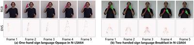 Spike-HAR++: an energy-efficient and lightweight parallel spiking transformer for event-based human action recognition